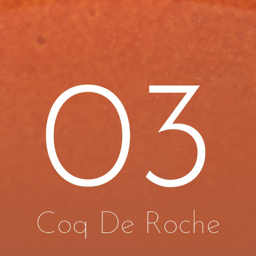 Coq De Roche