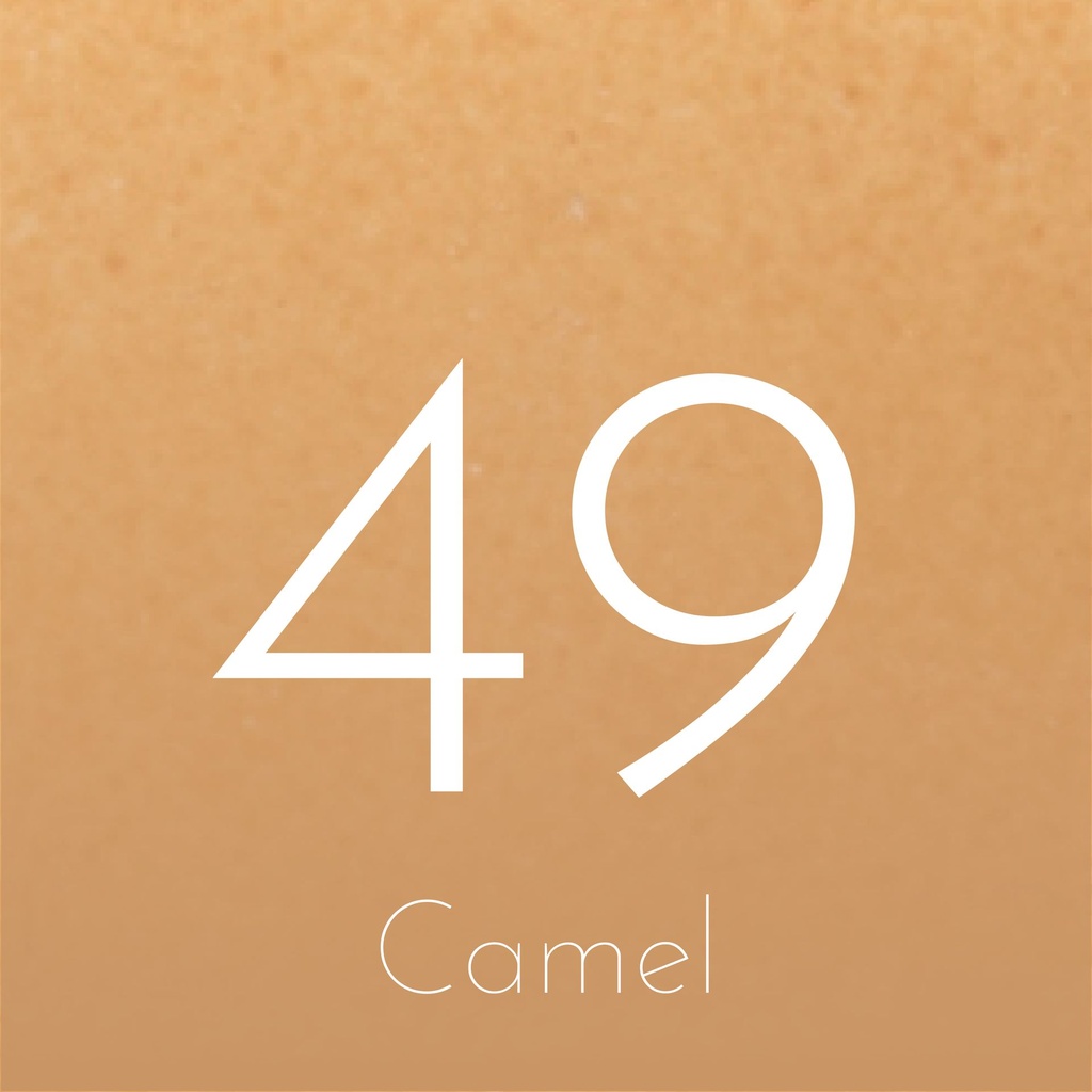 Camel