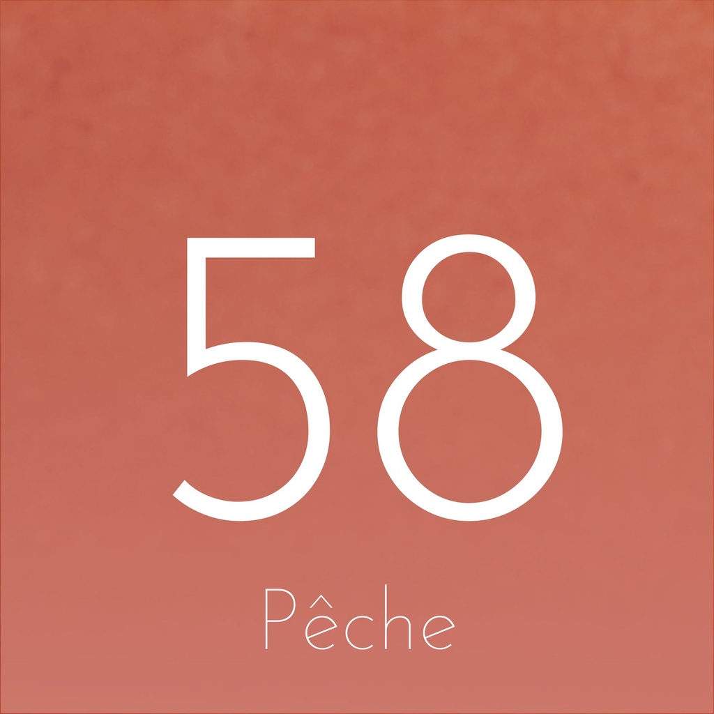 Pêche